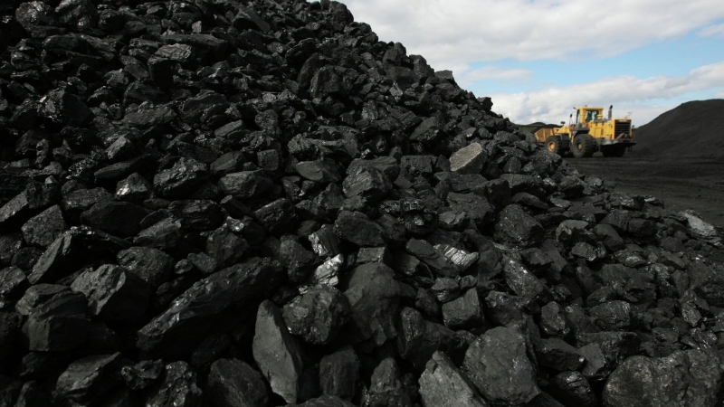 В Японии заявили о поэтапном сокращении импорта угля из России