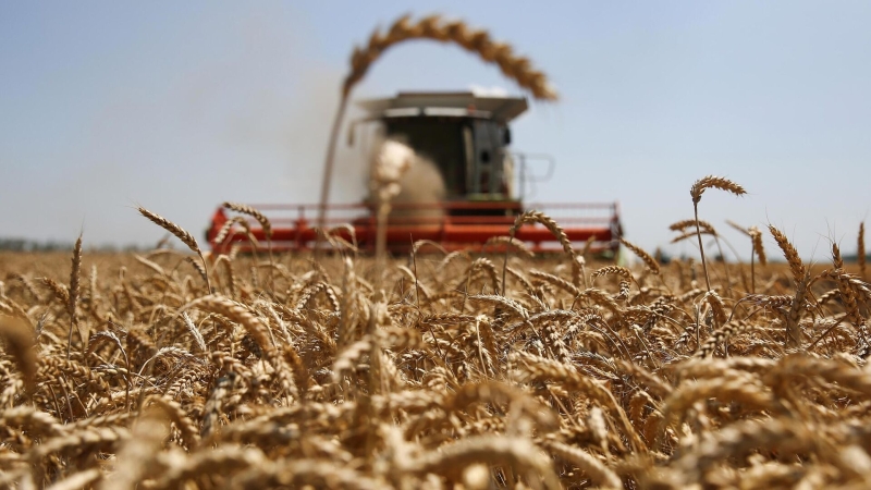Недовложение удобрений снижает виды на урожай, отметил Путин