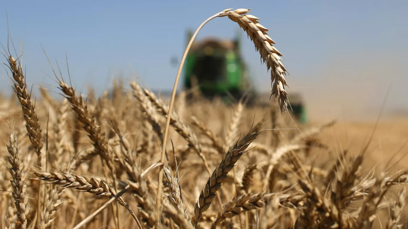 Европейская страна приготовилась к резкому сокращению урожая