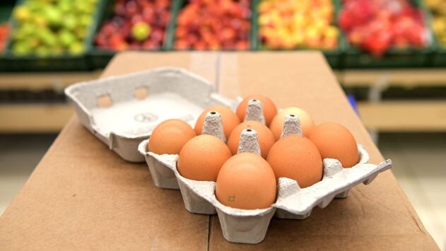 Британия столкнулась с дефицитом куриных яиц