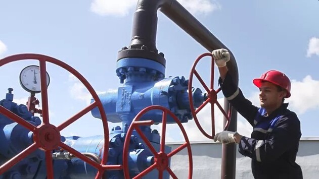 Сербия захотела снизить зависимость от российского газа