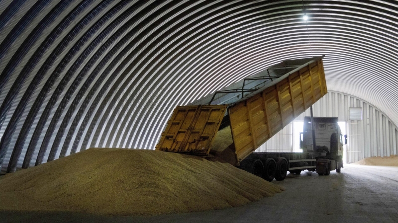 Экспорт зерна и масел с Украины за месяц упал на треть, пишут СМИ